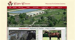 Desktop Screenshot of coppercrowne.com