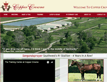 Tablet Screenshot of coppercrowne.com